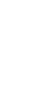 BIM Investment Management