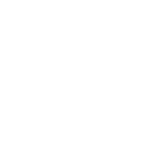 BIM Investment Management